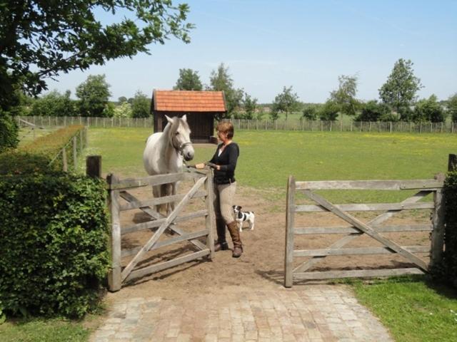 Maarle *
