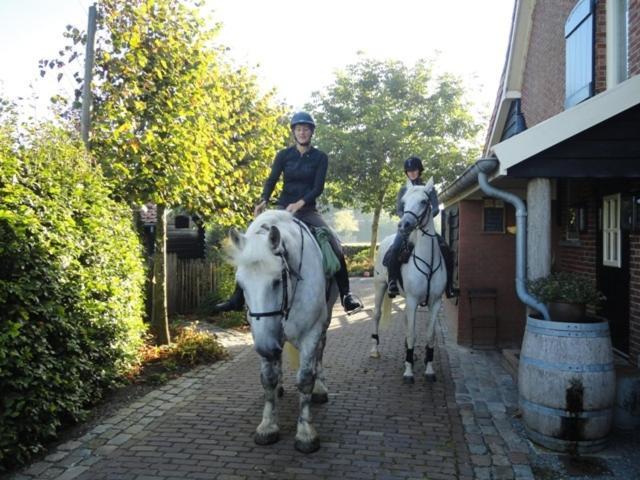 Maarle Poppel